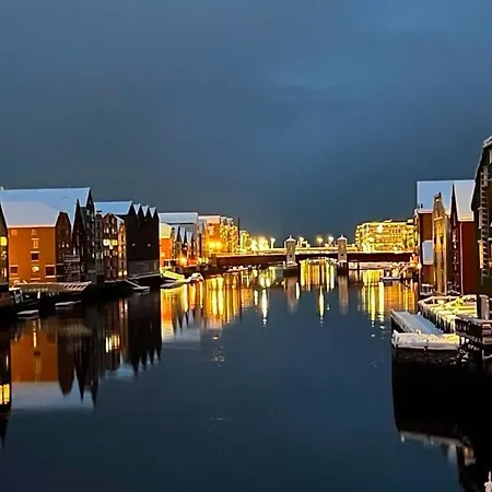 Beautiful House - Walking Distance Of Everything Trondheim