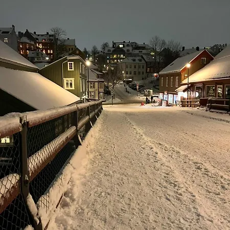 Beautiful House - Walking Distance Of Everything Trondheim