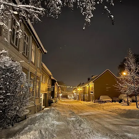 Beautiful House - Walking Distance Of Everything Appartement